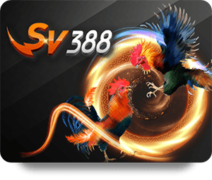 VF555 Review Chuyên Môn: What Experts Are Saying Today